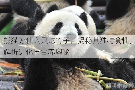熊猫为什么只吃竹子，揭秘其独特食性，解析进化与营养奥秘